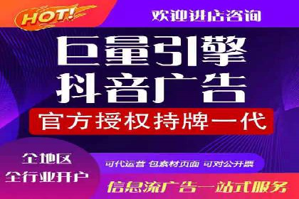 某某企业SEM营销案例：从SEM到全渠道营销的转型之路